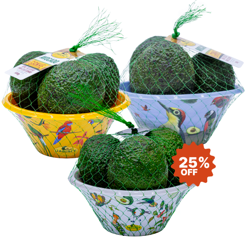 3 Bowls de Avocado - Coleção Aves do Brasil (500g cada)