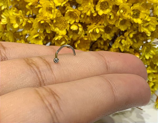 Nostril aço pedra 2mm