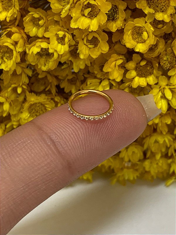 Segmento titânio gold cravejado 1.0mm x 8mm