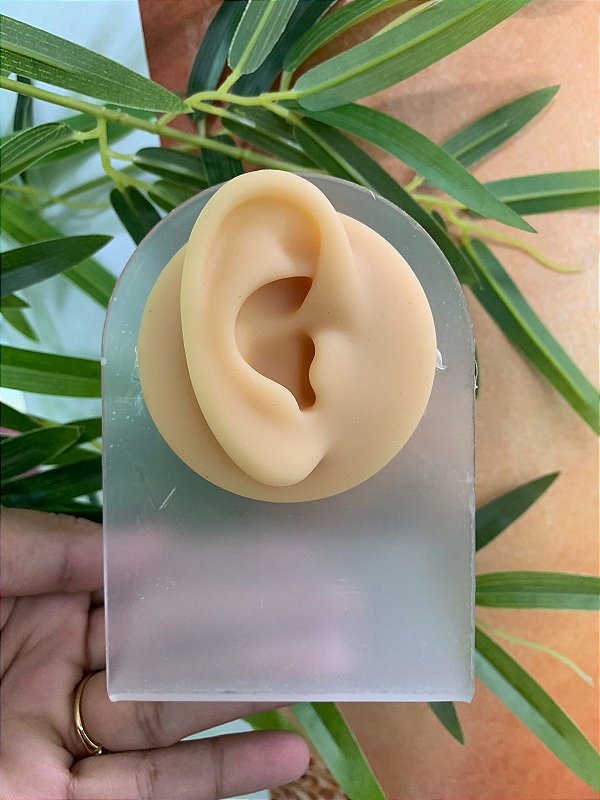 expositor de silicone orelha direita