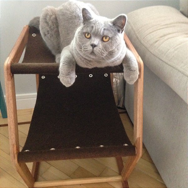 Cama para Gato - Duplex