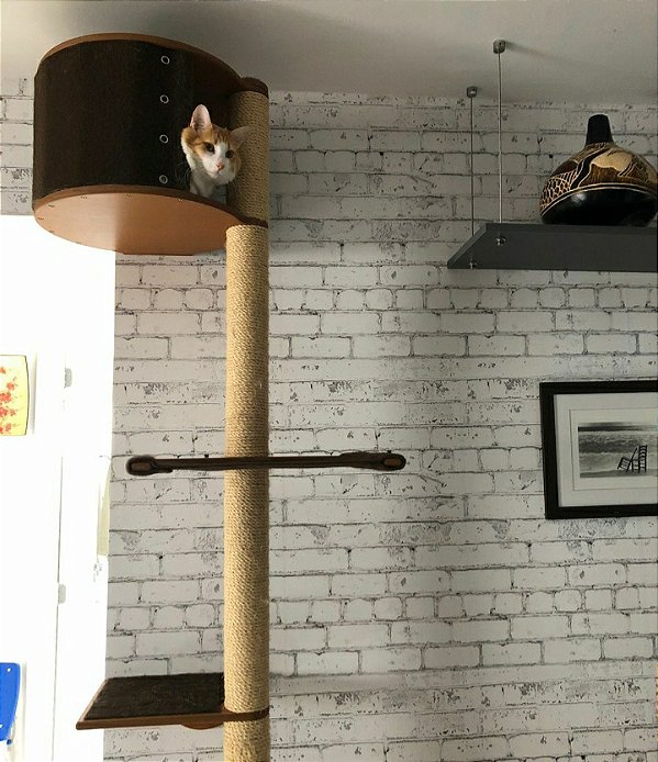 Arranhador para Gatos Escalador com Toca - Kampala