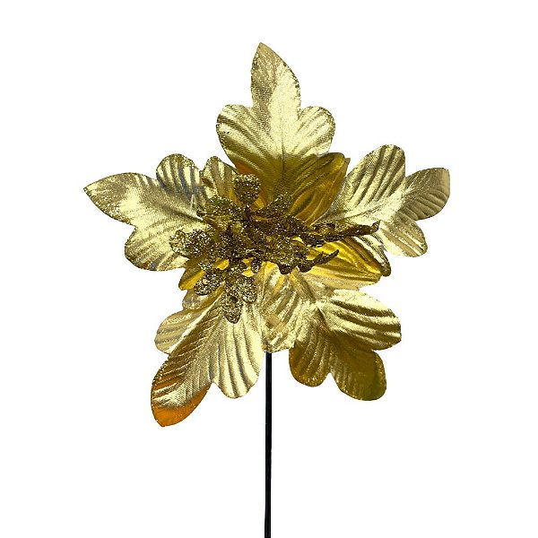 POINSETIA OURO AMARELO G202767