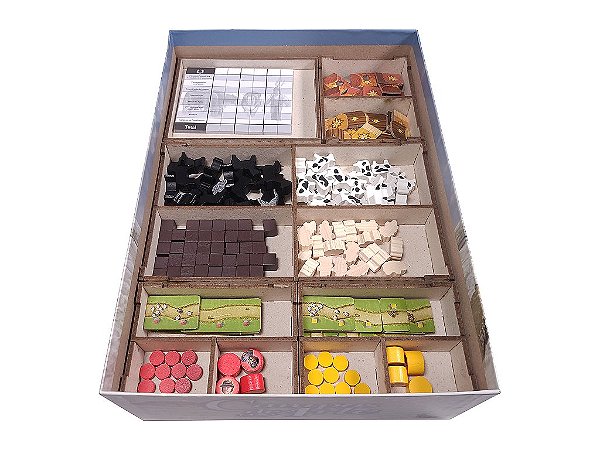 Organizador (SOFT INSERT PARANÁ) para Campos de Arle