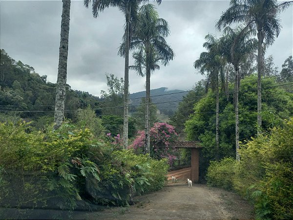 Sítio com 17 alqueires em Ouro Fino Minas Gerais