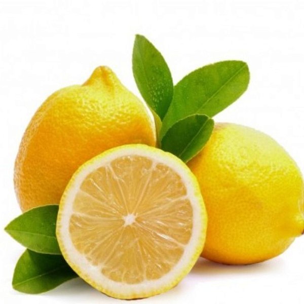 Kit 2 Muda de Limão Siciliano - Enxertadas -Produz em Vaso