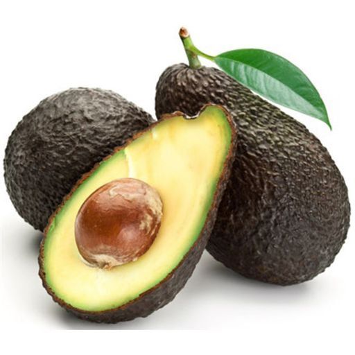 Muda de Abacate Avocado com Cheiro e Sabor de Aniz-Enxertado-Produz em Vaso