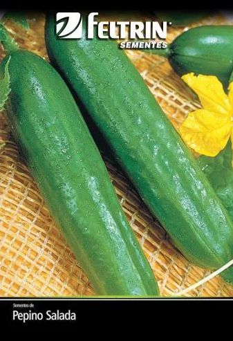 Semente Pepino Salada Aodai - contém 1 grama(s)