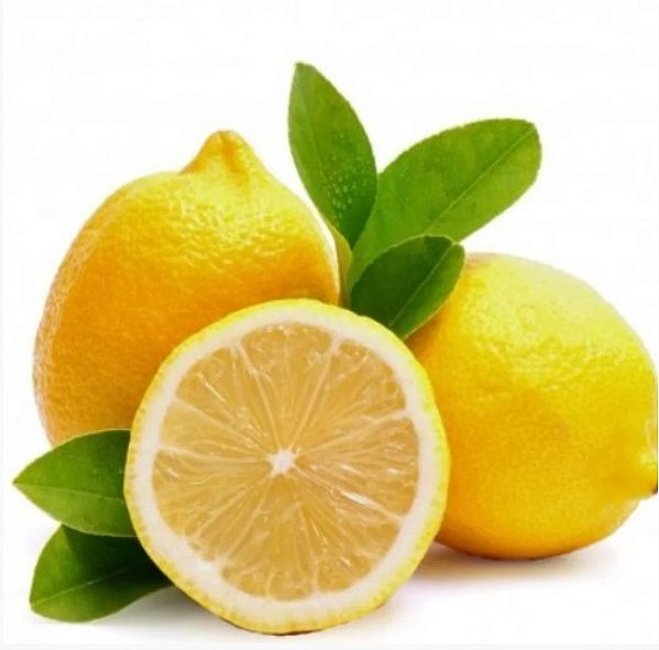 kit 50 mudas  Limão Siciliano (Citrus limon)- Enxertada
