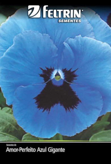 Sementes Amor - Perfeito Azul Gigante - contém 70 miligrama(s)