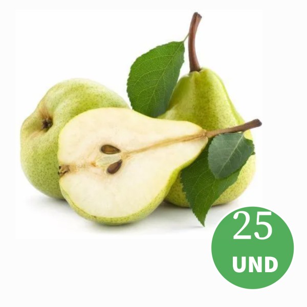 Kit 25 Muda de Pêra D'Água ou Pêra Européia Enxertada Preste a Produzir