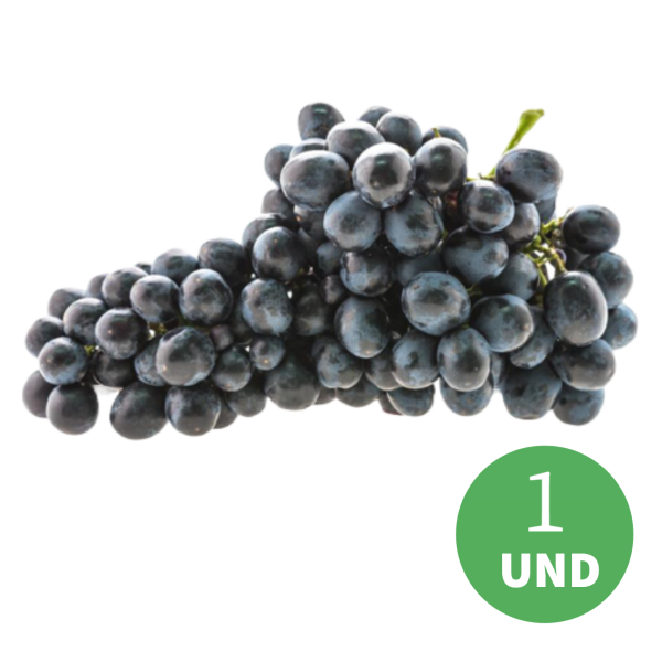 Mudas Uva Brs Magda para Vinho e suco-enxerto