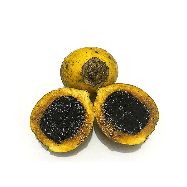 Muda Limãozinho do Mato ( Randia ferox ) Atrai Abelhas