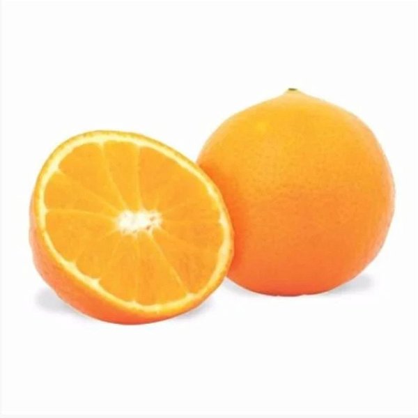 Muda De Laranja Abacaxi - Enxertada