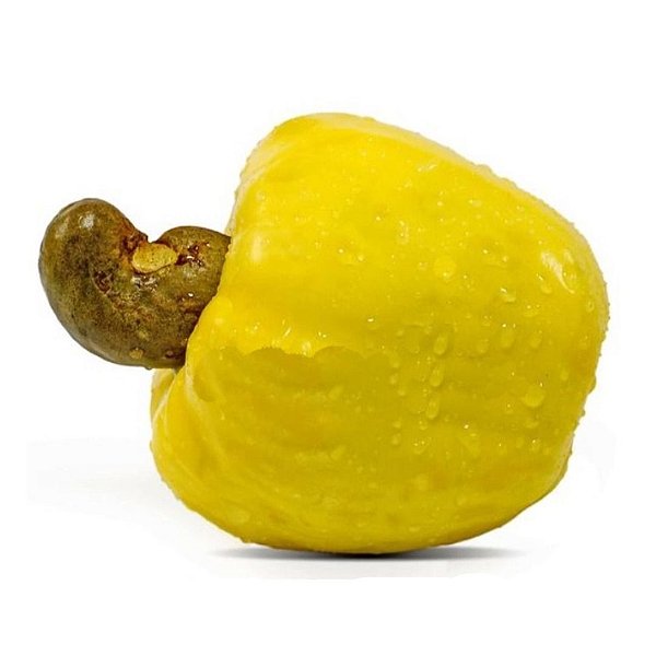 Muda Caju Amarelo Anão