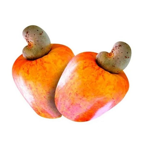 Muda de Caju Anão Precoce Vermelho