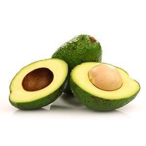 Muda De Abacate Margarida