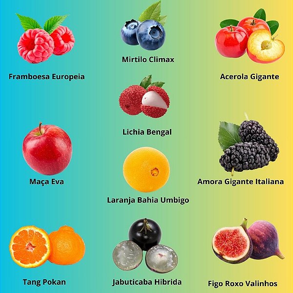 Kit Mudas FrutiferasTop 10 Mais Vendidas