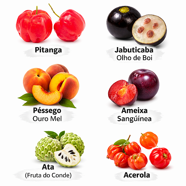 Kit 6 mudas 1 Jabuticaba Olho boi 1 Pitanga 1 Acerola 1 Pessego Ouro mel 1 Ameixa Sanguinia 1 Ata (Fruta do Conde)