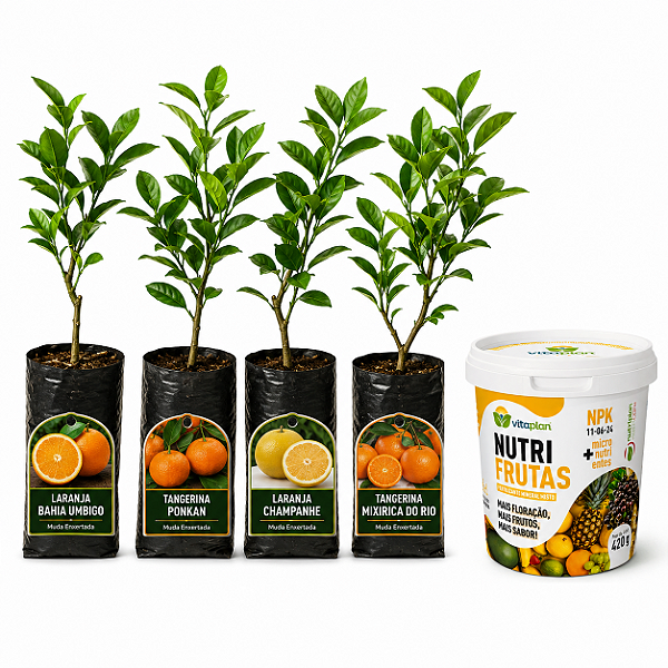 Kit 4 Mudas Cítricas Enxertadas + Fertilizante Nutrifrutas 420g
