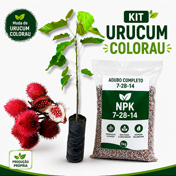 Muda colorau ou Urucum + 100g adubo completo 7-28-14