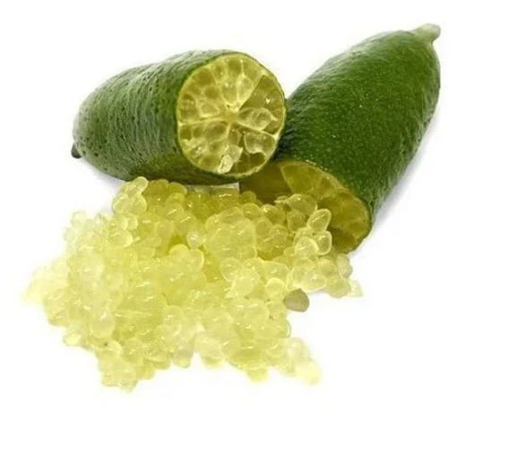 Muda Limão Caviar Enxertado - Preste a Produzir Exótico - (Promoção)