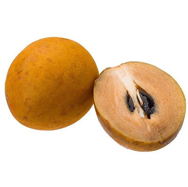 Muda de Sapoti Alano - Enxertada Para Vaso