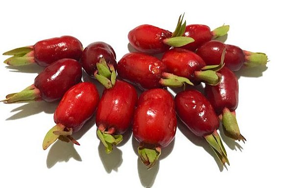 Muda Cereja do Cerrado Vermelha ( Eugenia calycina )