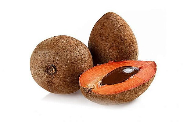 Muda Mamey Mamei ou Pouteria Sapota