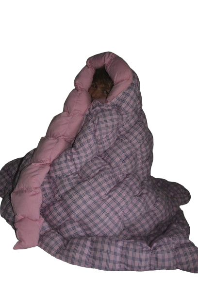 Cobertor Ponderado gravitacional – Tam GG - Casal - 2,0M x 2,20M com peso, Malha (quentinho) para Autismo, TDAH e insônia - Frete Grátis todo Brasil - Antialérgico - Lavável - Personalizado com peso e cor tecido