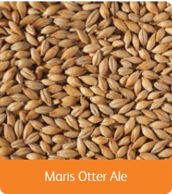 C MALTE MARIS OTTER® ALE - CRISP EBC(5.5-7.5)