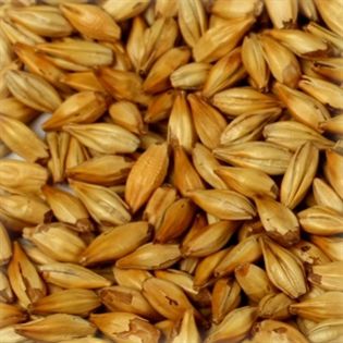 MALTE CHATEAU CARA BLOND BELGA (CARA 20) - Saca 25 Kg