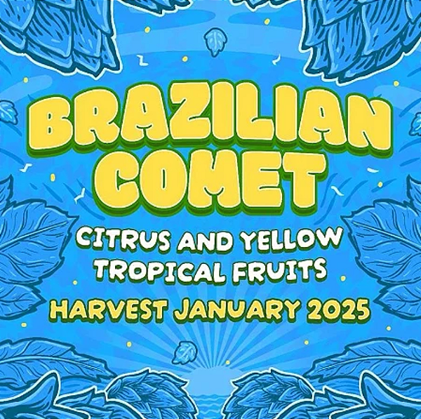LUPULO BR COMET  START HOPS - NACIONAL