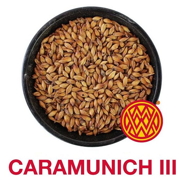 MALTE CARAMUNICH III WEYERMANN