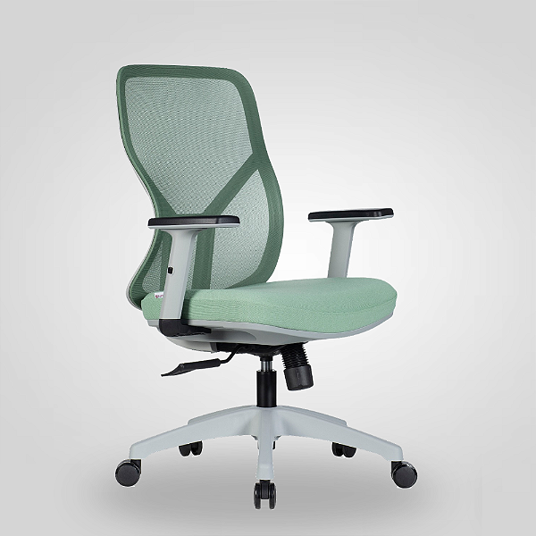 Cadeira de Escritório Ergonômica Nr17 Lina Diretor Cinza-Verde