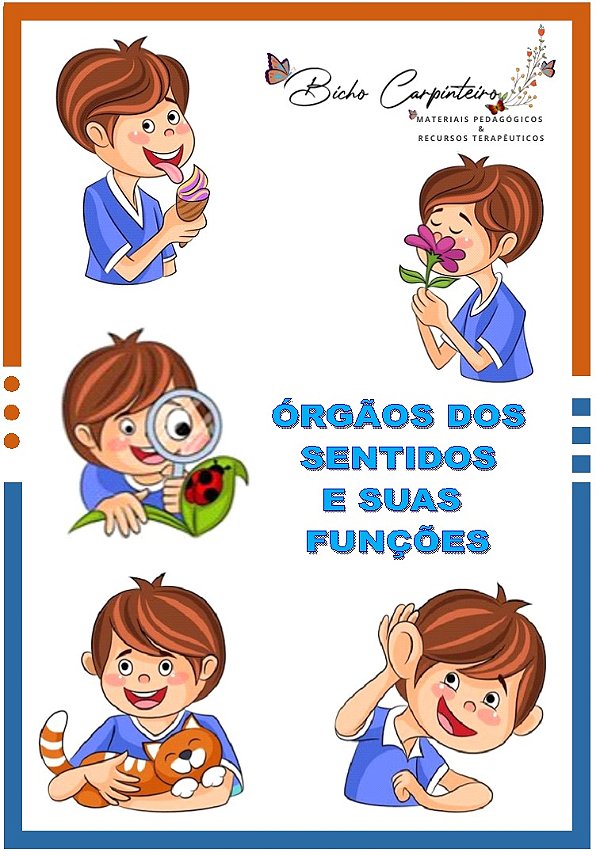 ÓRGÃOS DOS SENTIDOS E SUAS FUNÇÕES