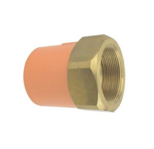 Amanco Fire Conector Femea com Adaptador BSPT Dn 2