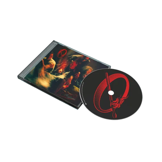 Queens of the Stone Age – Perfecth – LP