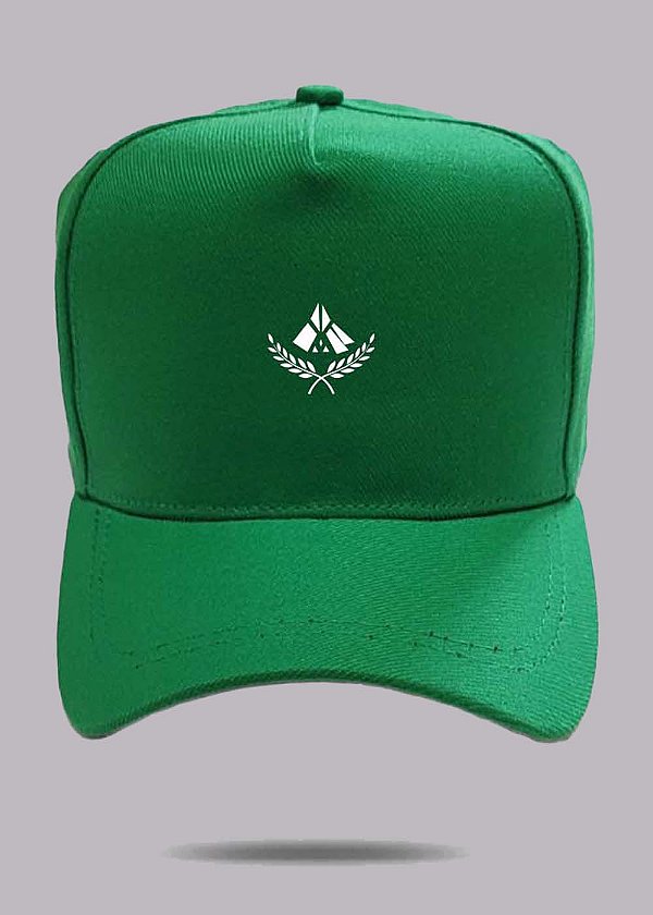 Boné Snapback aba curva Basic verde