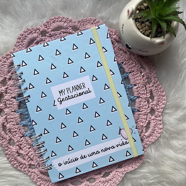 Planner Gestante