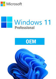 Microsoft Windows 11 OEM Professional Key BR