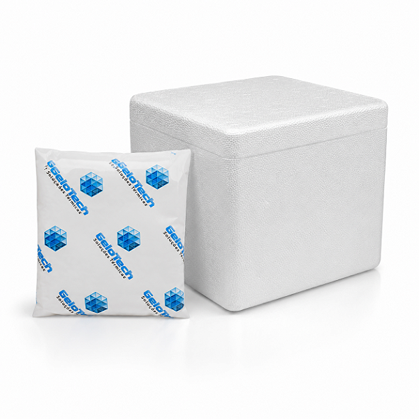 Kit Caixa Térmica 1L com Gelo Flexível para Canetas Emagrecedoras
