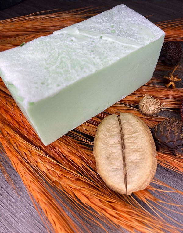Shampoo em Barra 120gr
