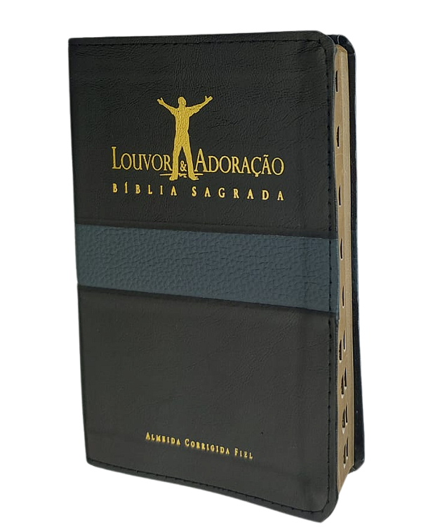 Bíblia Louvor e Adoração Capa Luxo Preta