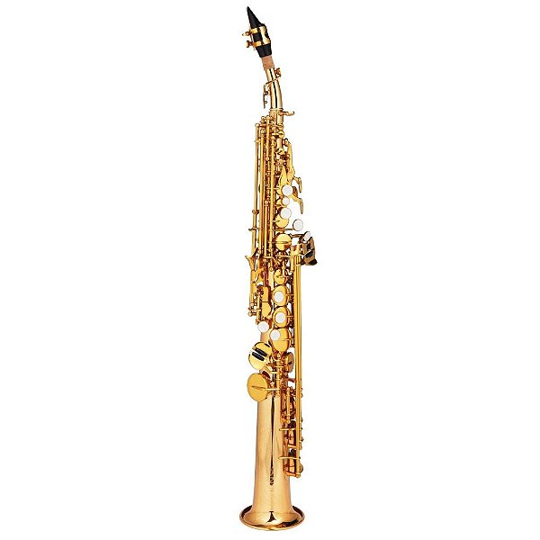 Saxofone Soprano Michael Dual Gold WSSM48 Bb
