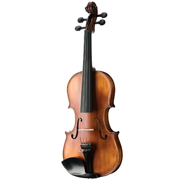 Violino 4/4 Michael VNM49 Ébano