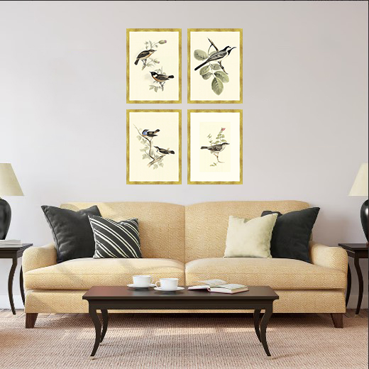 AVES DO JARDIM - Composição com 4 Quadros