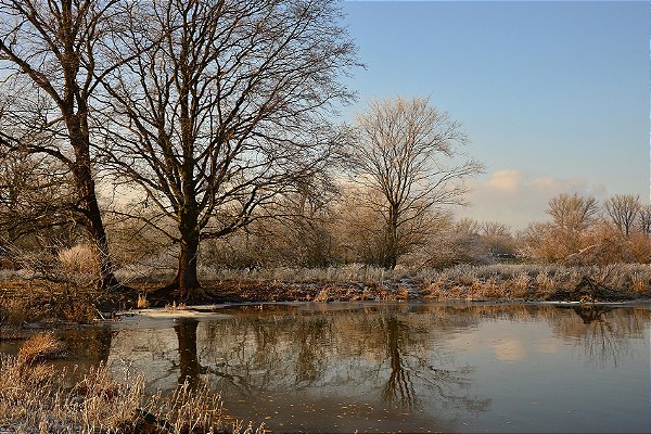 Impressão em Canva Paisagem Invernal Floresta e Rio