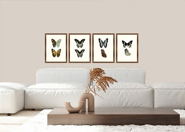 ELEGÃNCIA DAS BORBOLETAS - Compoisção com 4 Quadros