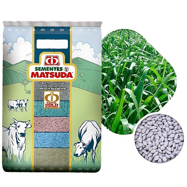 Capim MG 12 Paredão Sementes Incrustadas 10kg Matsuda